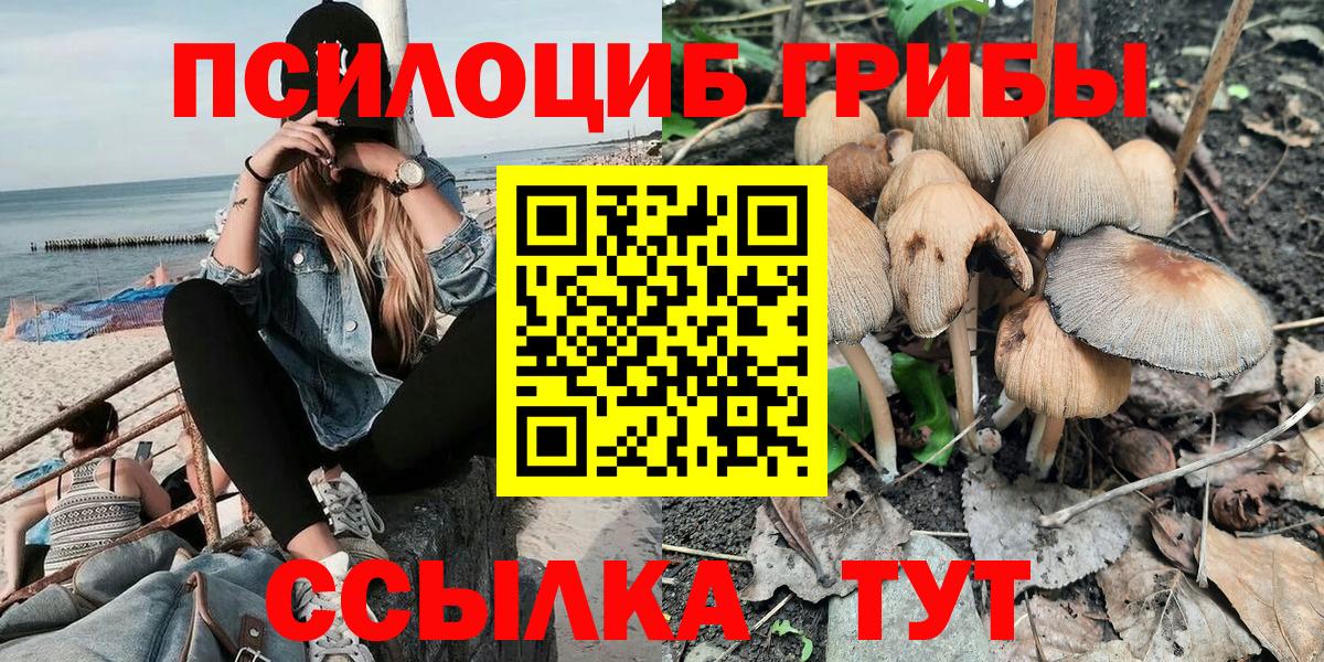 Ярославль  Галлюциногенные грибы Psilocybe  Галлюциногенные грибы MAGIC MUSHROOMS  Вход с VPN 