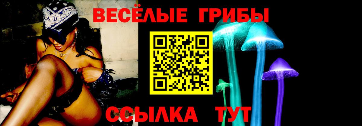 Псилоцибиновые грибы Cubensis Ярославль